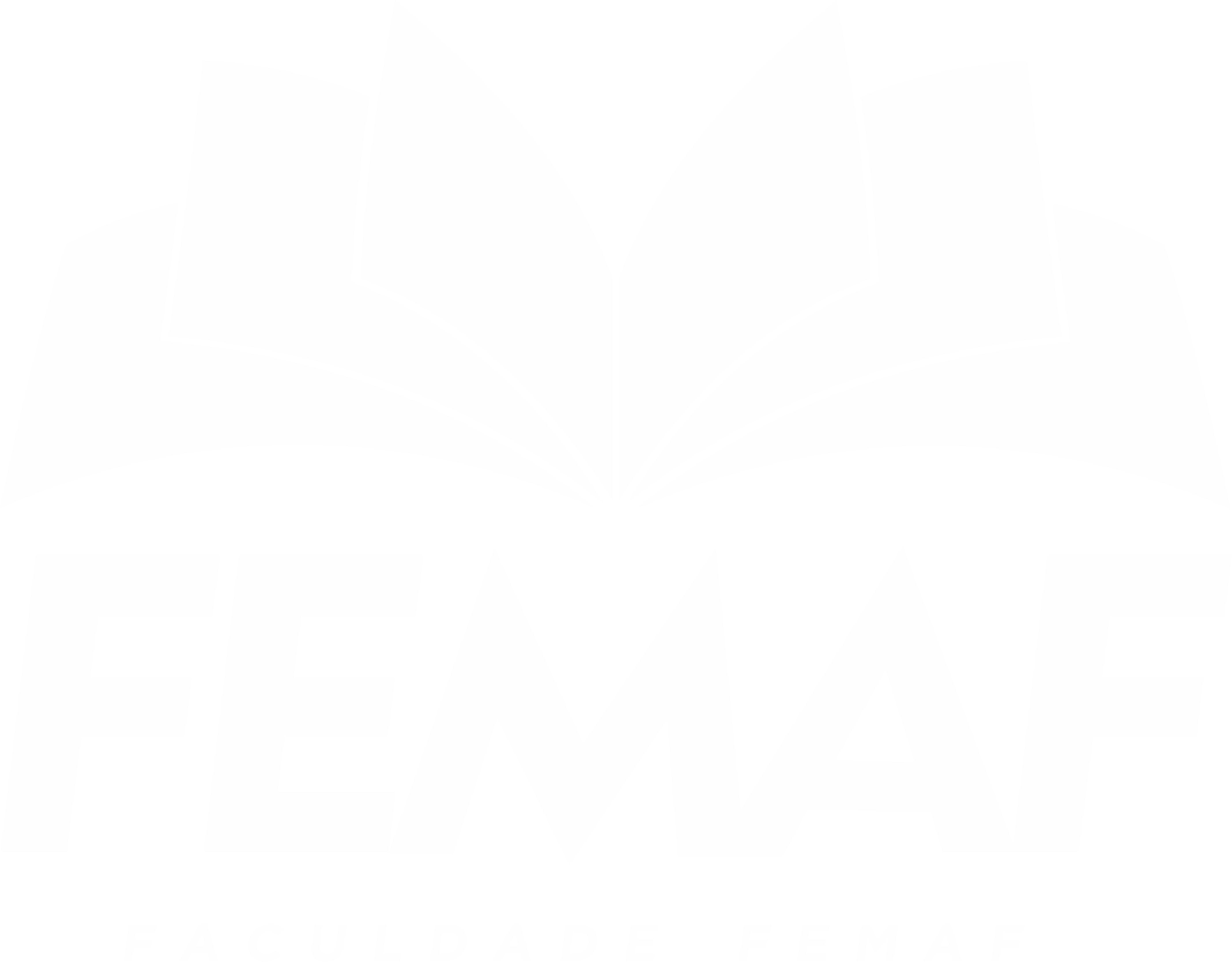 Logo FEMAF
